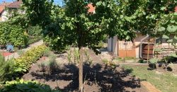 Csillaghegy legjobb utcájában pár éve épült ház gyönyörű veteményeskerttel