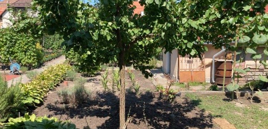 Csillaghegy legjobb utcájában pár éve épült ház gyönyörű veteményeskerttel